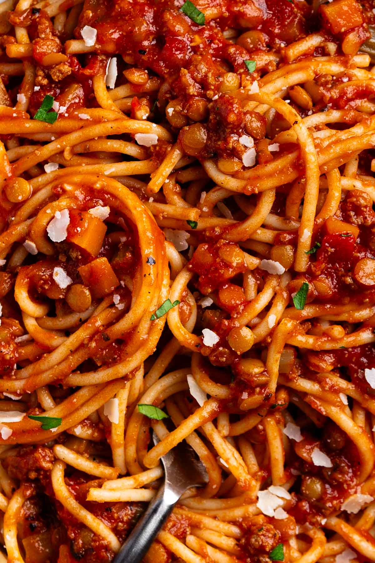 close up of healthy Bolognese
